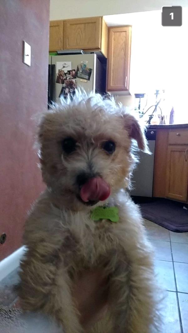 /Images/uploads/Humane Society of Utah/HSUCalendar/entries/860thumb.jpg